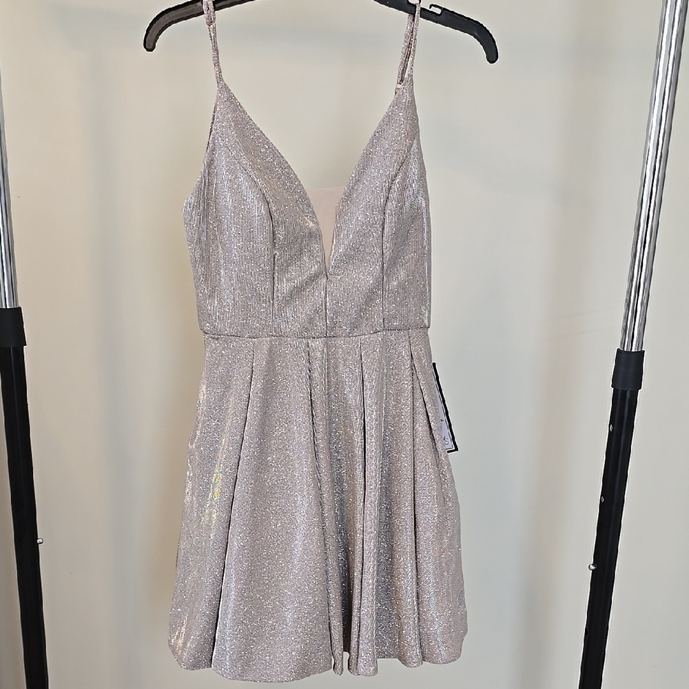 Sparkling Silver Dress